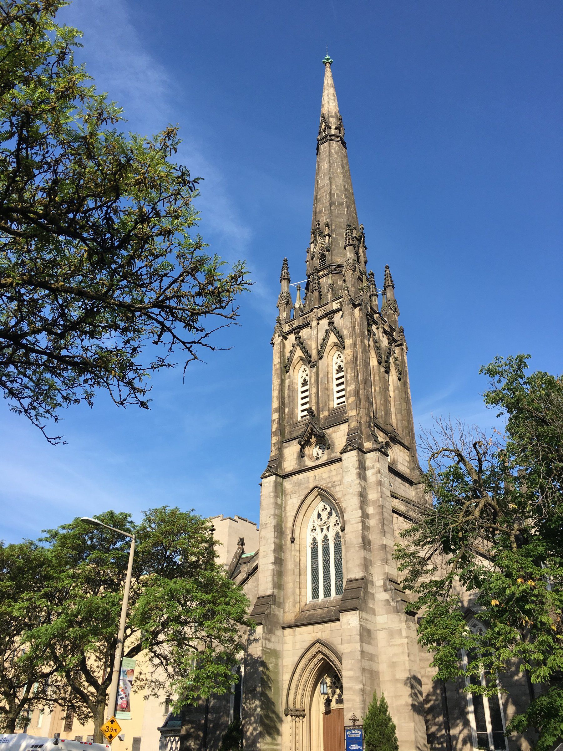 St. Paul's Presbyterian Church, a stone church whose square tower rises into a tall stone spire above a pointed-arch doorway, framed by trees on James Street South